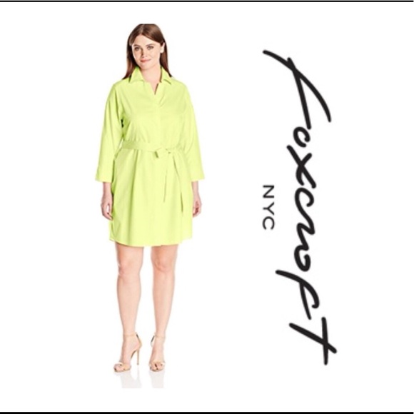 Foxcroft Honeydew Taylor Shirt Dress Sz 6 - Picture 1 of 7